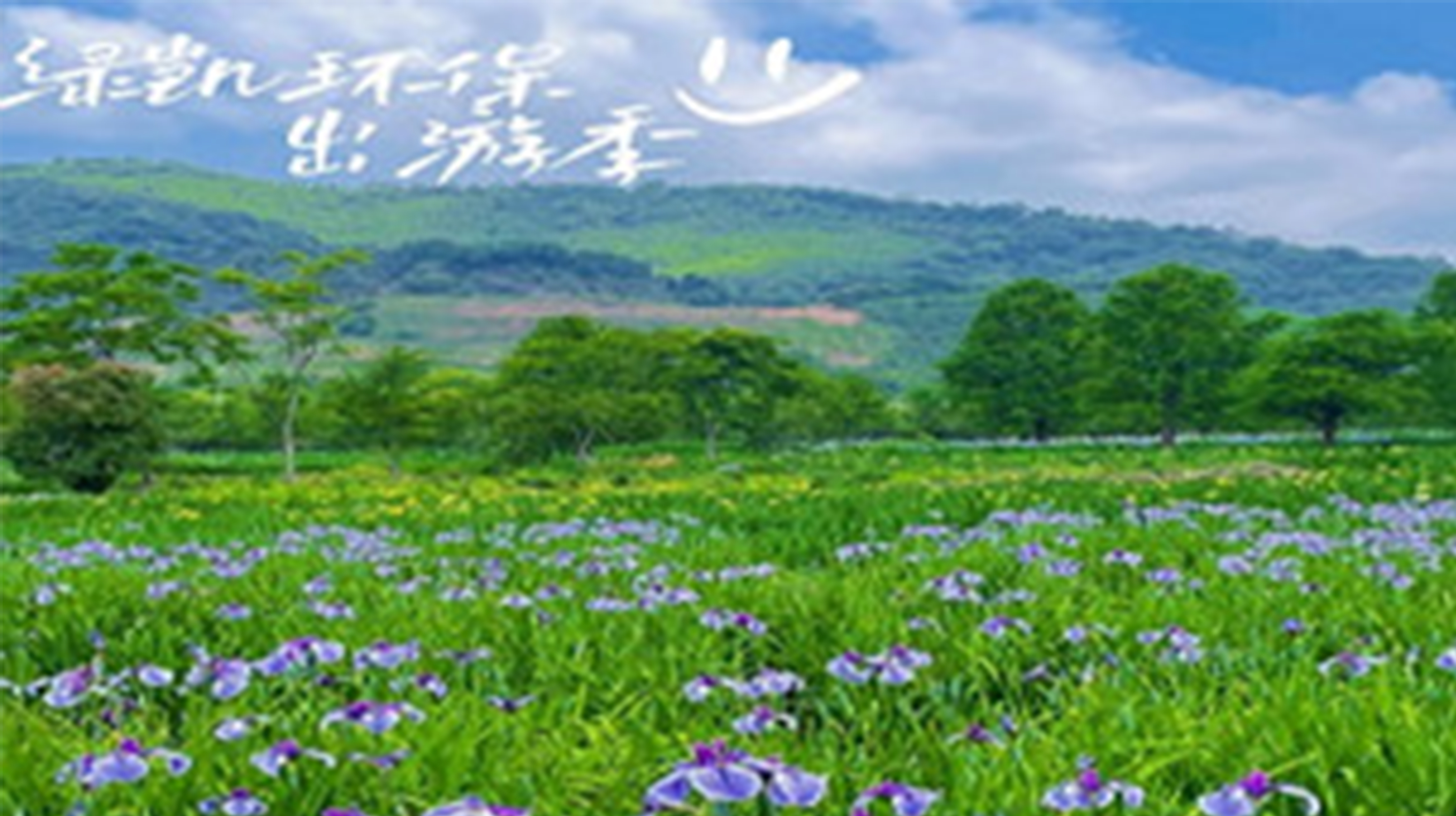 绿凯