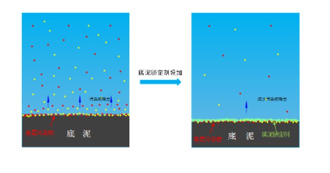 绿凯