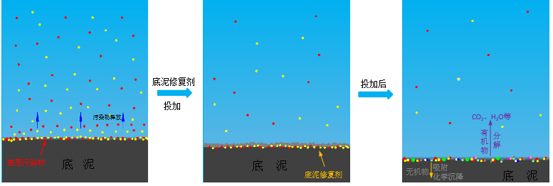 绿凯