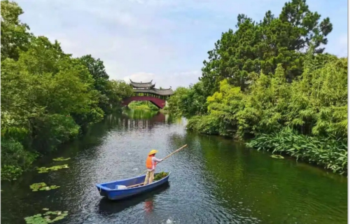 绿凯